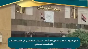 عاجل اليوم.. حكم بالسجن المشدد 3 سنوات لشقيقين في قضية الاتجار بالحشيش بسوهاج